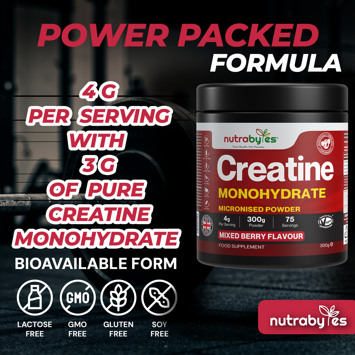 Flavoured Creatine Monohydrate Powder 300g (75 Servings) | Micronised Creatine Powder | Supplement for Women & Men | Vegan