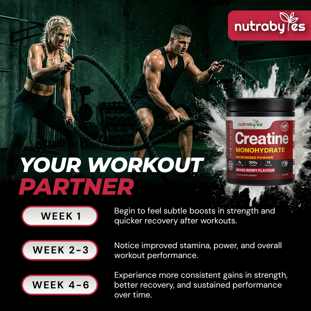 Flavoured Creatine Monohydrate Powder 300g (75 Servings) | Micronised Creatine Powder | Supplement for Women & Men | Vegan