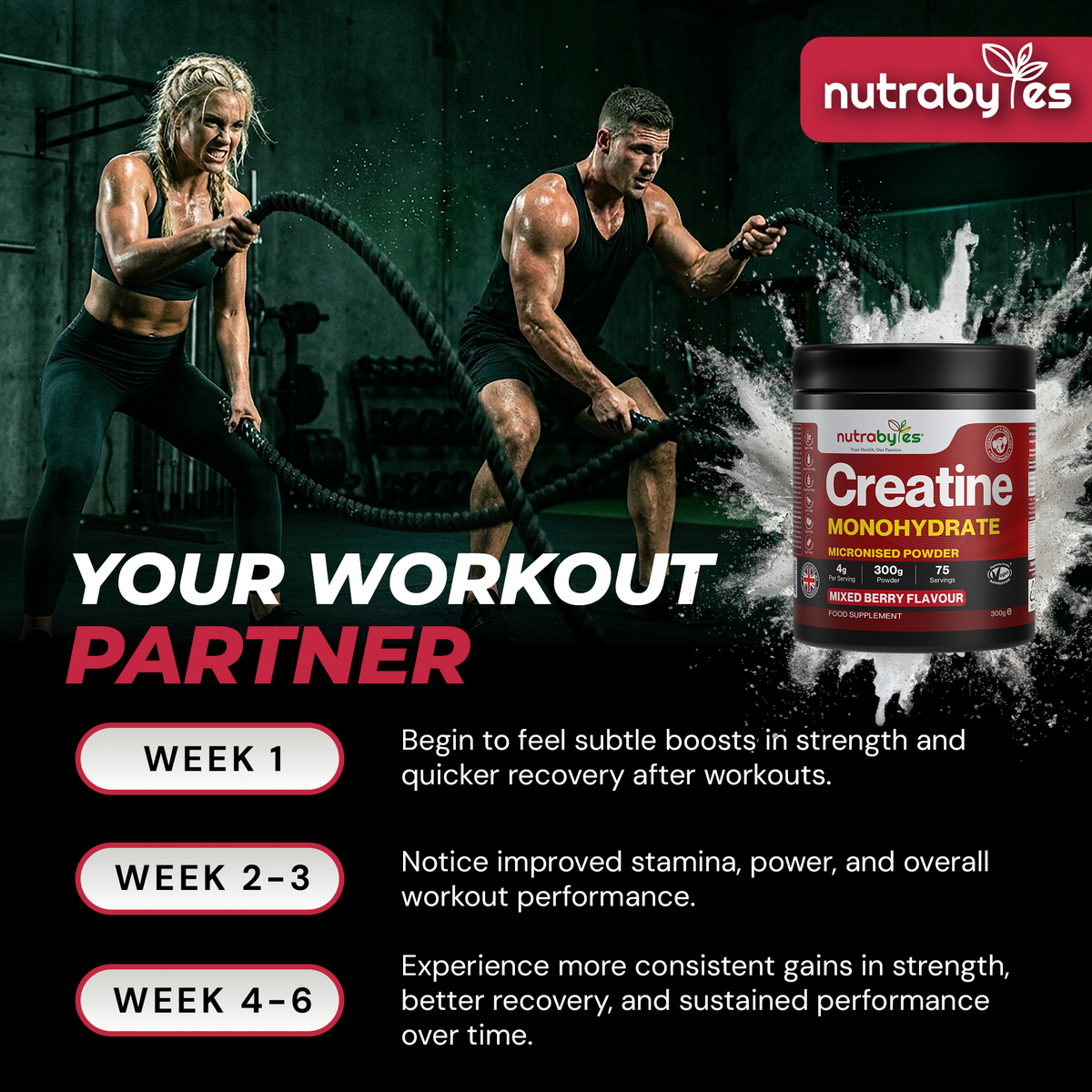 Flavoured Creatine Monohydrate Powder 300g (75 Servings) | Micronised Creatine Powder | Supplement for Women & Men | Vegan
