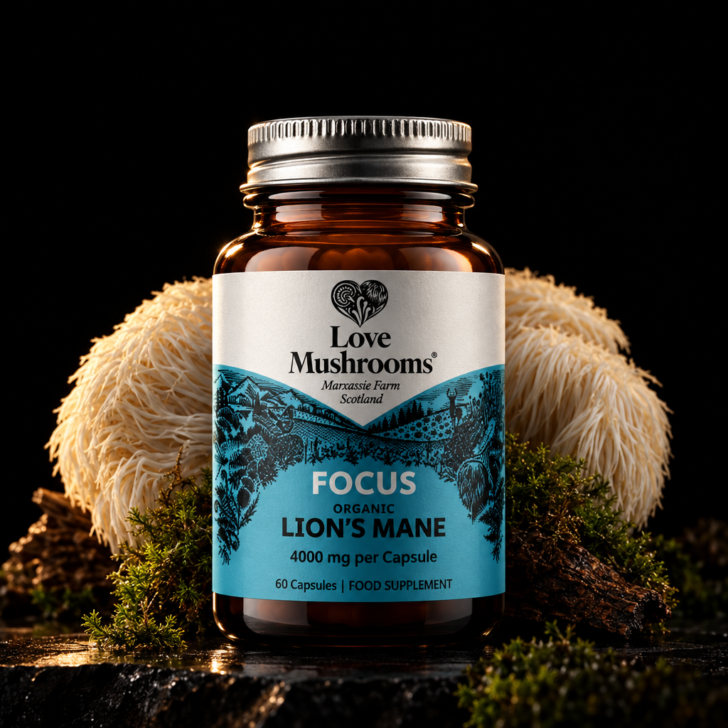 Lion’s Mane Capsules (60) – 4000mg per Capsule Love Mushrooms