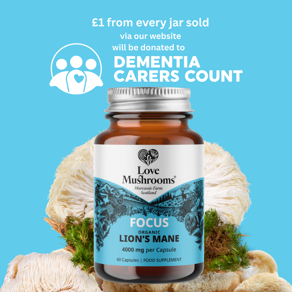 Lion’s Mane Capsules (60) – 4000mg per Capsule Love Mushrooms