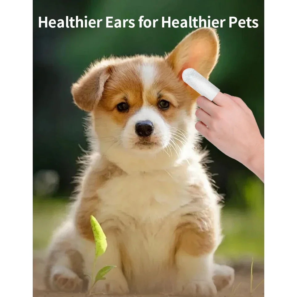 Pet Ear Cleaning Wipes | 50-Pack Fingertip Wipes for Cats & Dogs - Zenflow Active