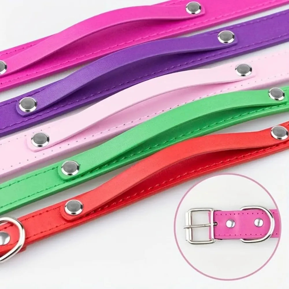 Personalised Leather Pet Collar | Custom Laser-Engraved Name Tag for Dogs & Cats - Zenflow Active