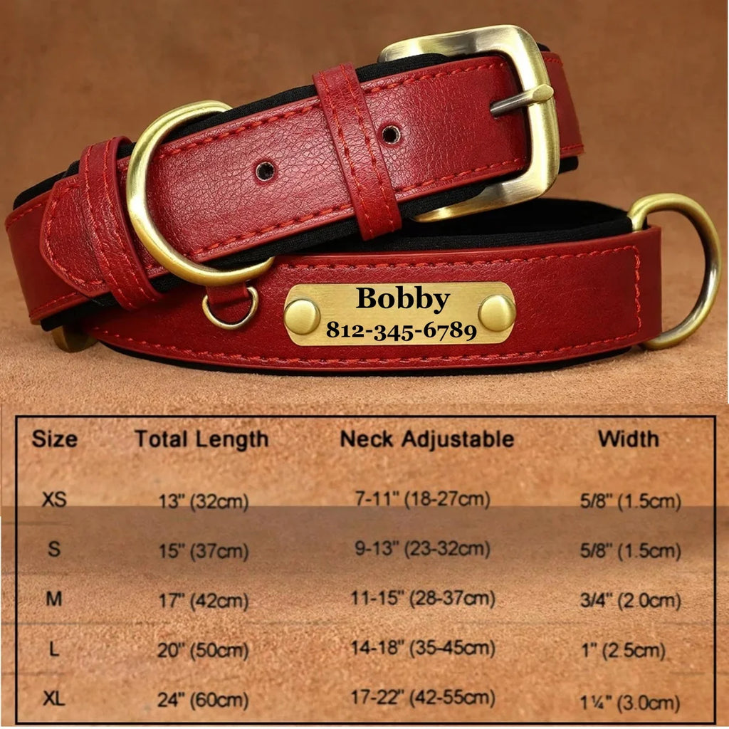 Soft Padded Leather Dog Collar | Personalised Engraved Nameplate & Custom ID Tag - Zenflow Active