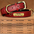 Soft Padded Leather Dog Collar | Personalised Engraved Nameplate & Custom ID Tag - Zenflow Active