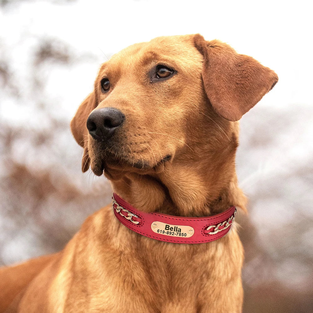 Personalised Leather Dog Collar | Custom Engraved Name & ID with Chain Accessories - Zenflow Active