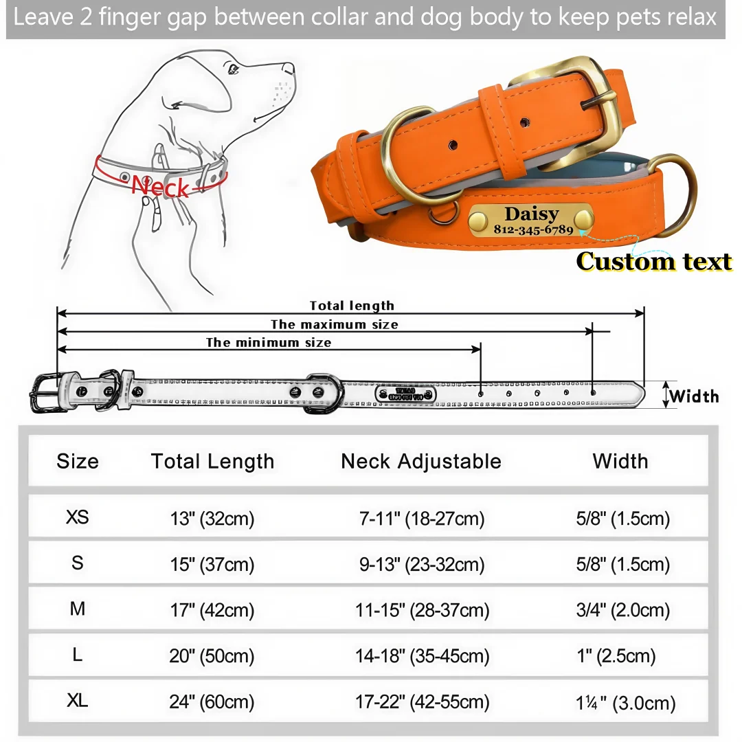 Soft Padded Leather Dog Collar | Personalised Engraved Nameplate & Custom ID Tag - Zenflow Active