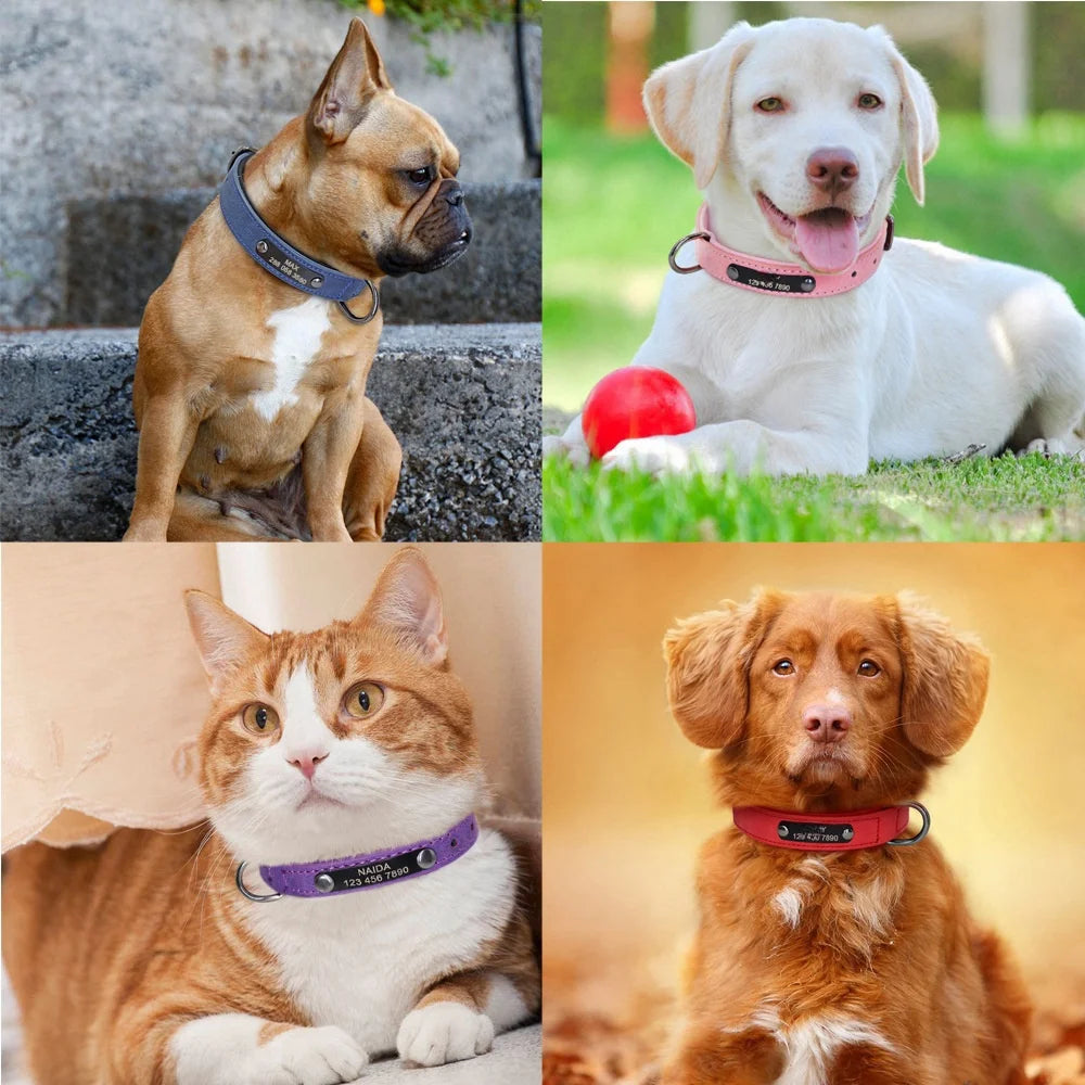 Soft Padded Leather Dog Collar | Personalised Engraved Nameplate & Custom ID Tag - Zenflow Active