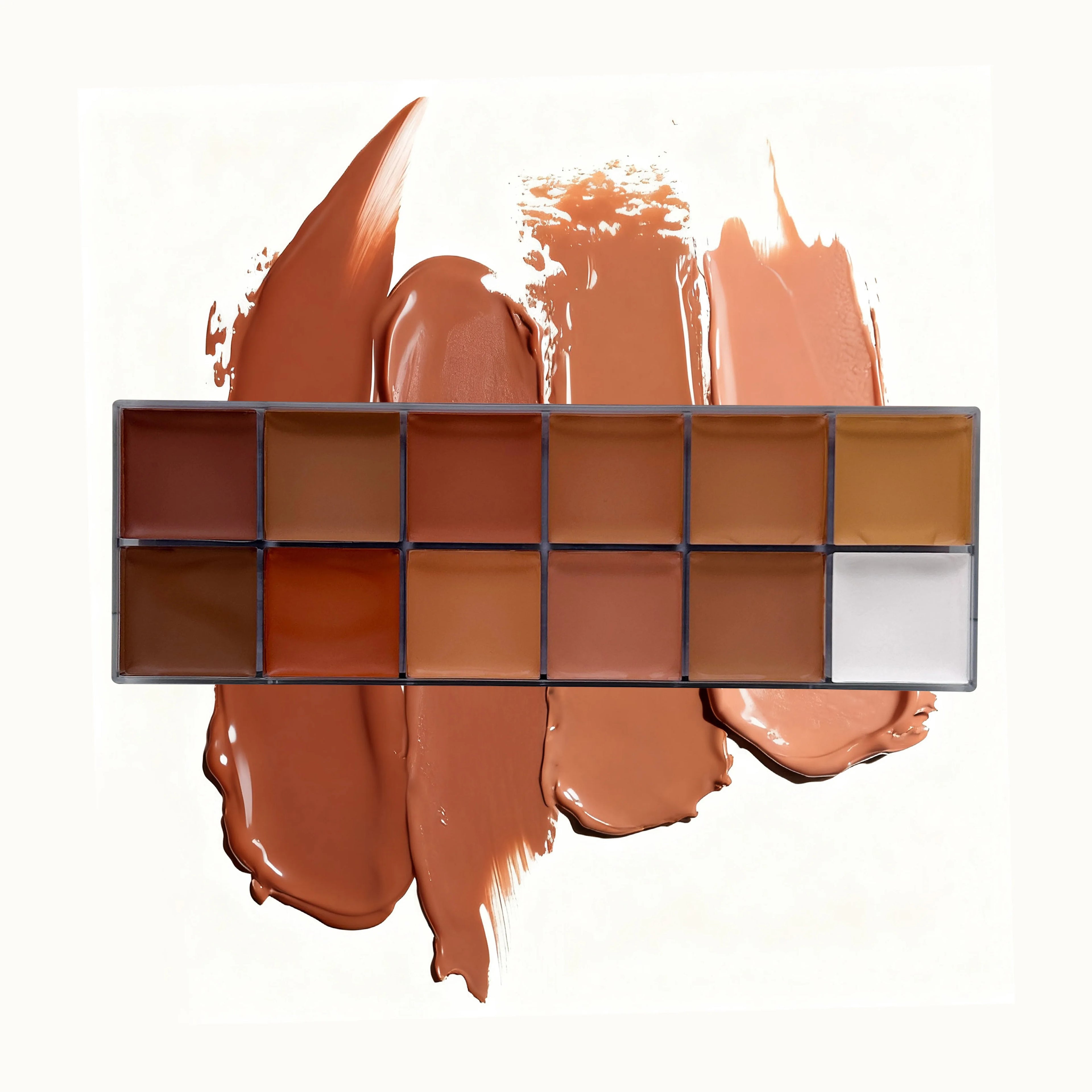 12 Colour Concealer Dark Skin